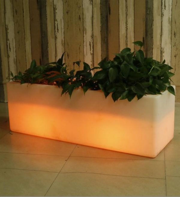 LED Light Flower Vase